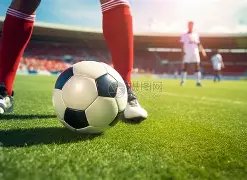 多哈跳水世,赛选拔圆满,落幕,欧宝娱乐官网,欧宝娱乐品牌,欧宝娱乐精彩,欧宝娱乐