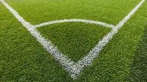 金赛纶好友揭露其隐私困境