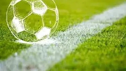 尤文或放弃韦加，买断操作机会不大